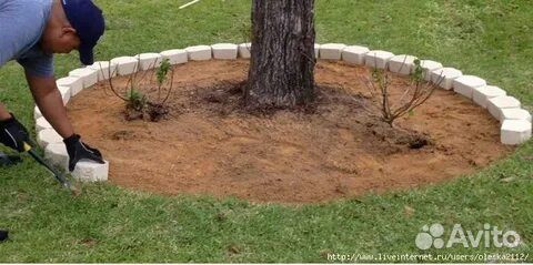 Растительный грунт