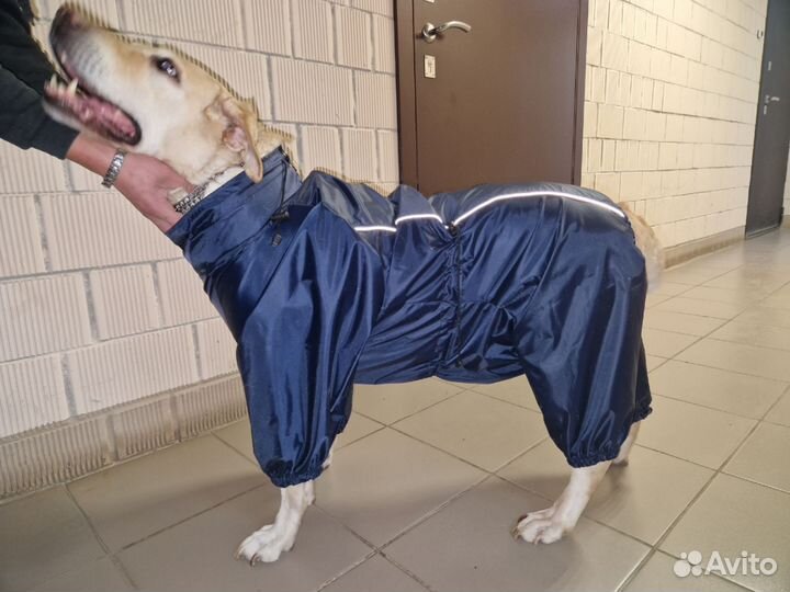 Комбинезон для крупной собаки