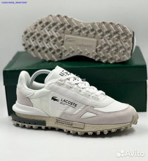 Lacoste (Арт.80904)