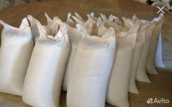 Пшеница, ячмень