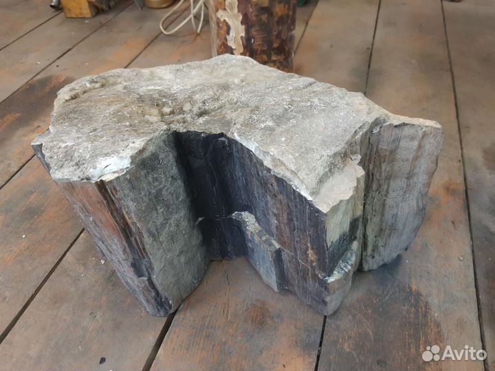 Окаменелый пенёк 60 кг