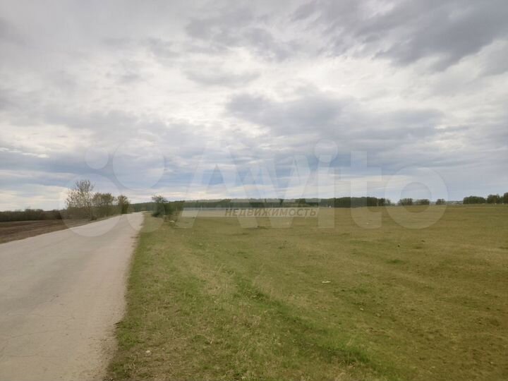 Участок 33 га (ИЖС)