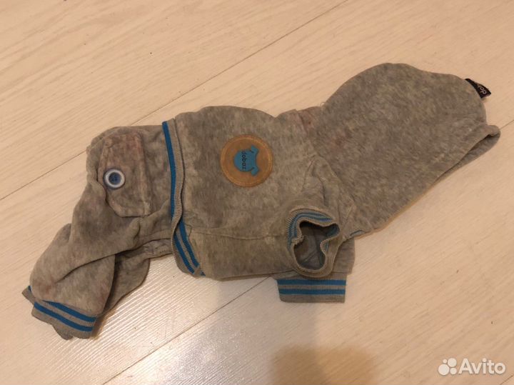 Костюм на маленькую собаку