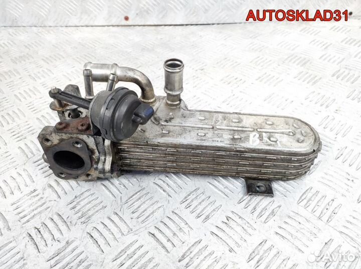 Радиатор системы EGR VW Passat B6 03G131513J