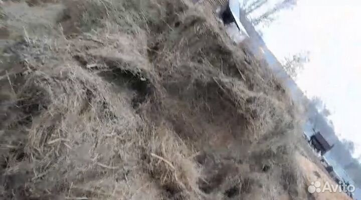 Продам сено,солому