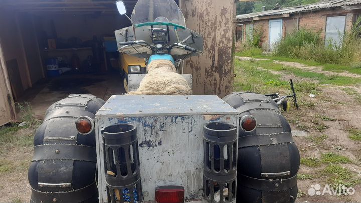 Каракат, кишкотряс