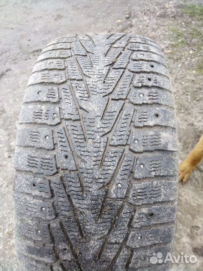 Nordman WR SUV 255/55 R18