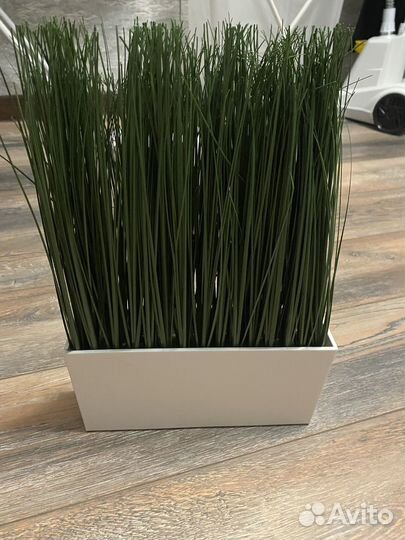 Искусственные растения Фейка икея