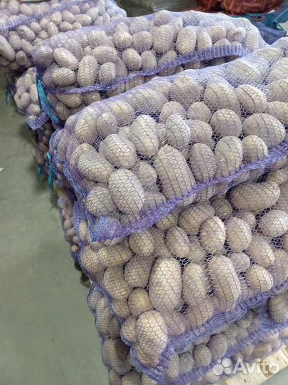 Свежие овощи (картофель, капуста и др) с доставкой