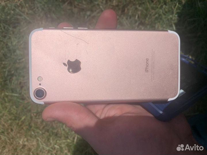 iPhone 7 rose gold