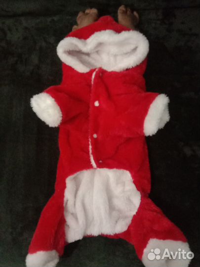 Комбинезон новогодний для животных