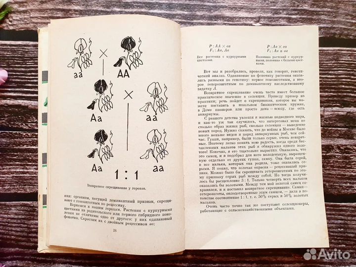 Полканов. Мы и ее величество днк 1968 г