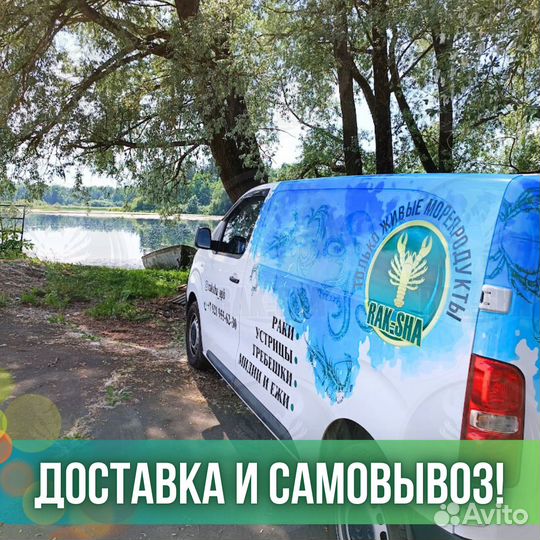 Печень трески в стекле