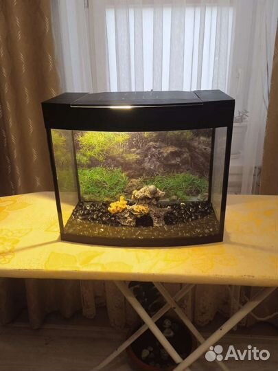 Аквариум