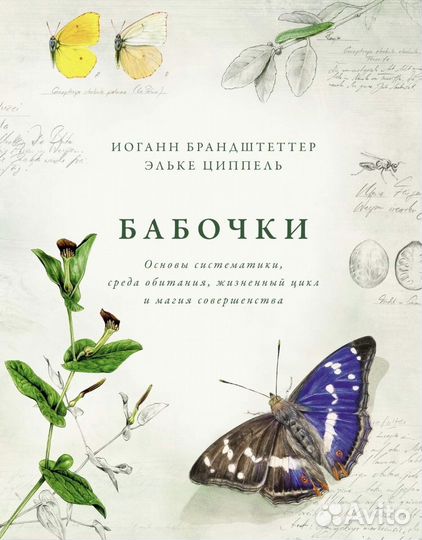 Бабочки книга