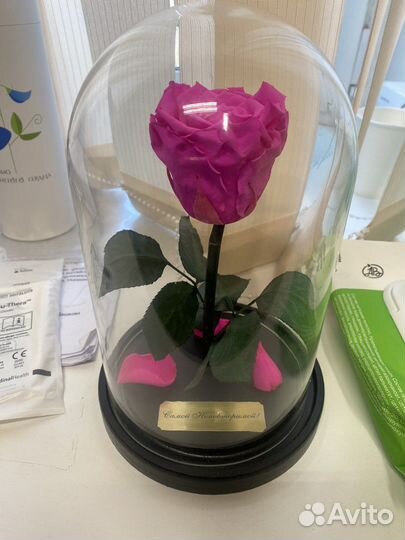 Неувядающая роза в колбе