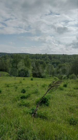 Участок 20 сот. (ИЖС)