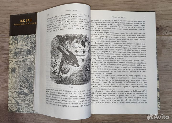 Книги о животном мире