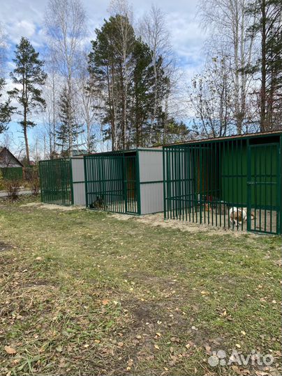 Гостиница для животных