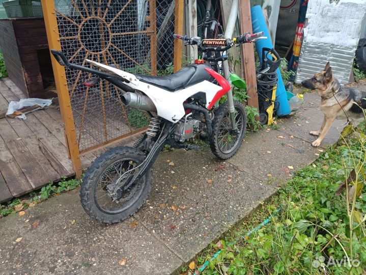 BSE PH10 150cc