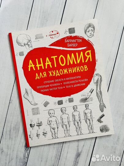 Анатомия для художников