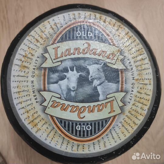 Сыры из европы оптом