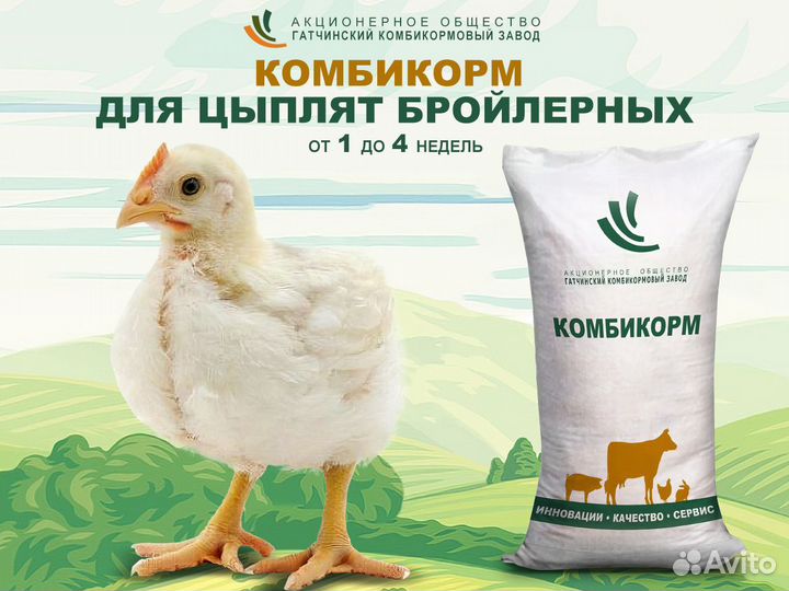 Комбикорма для птицы