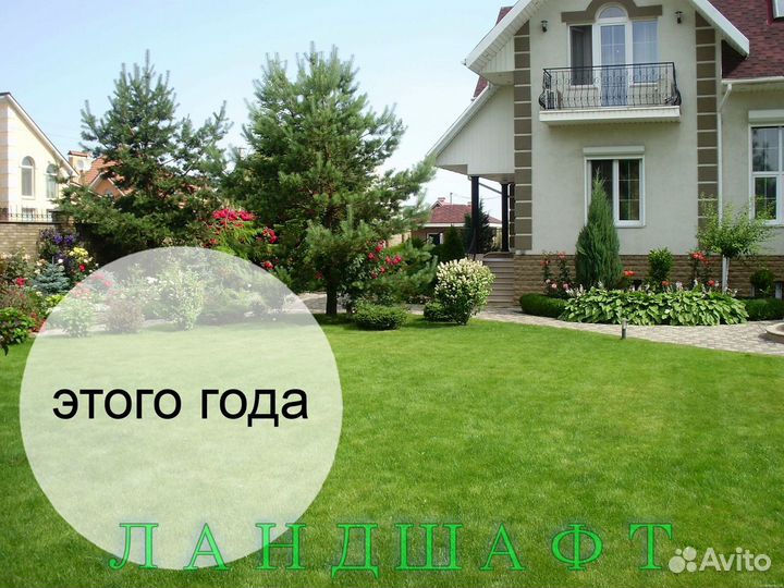Рулонный газон для вашего участка Власиха