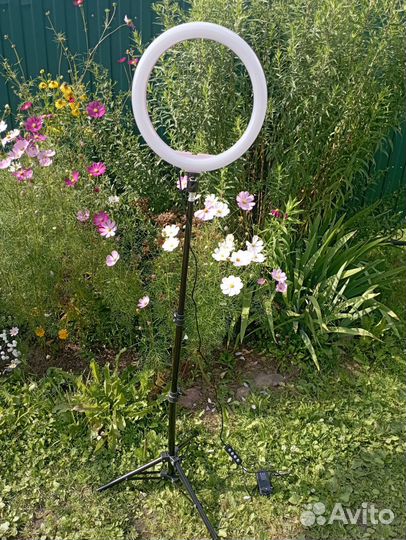 Кольцевая лампа со штативом бу