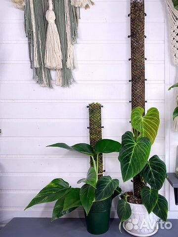 Опоры для растений