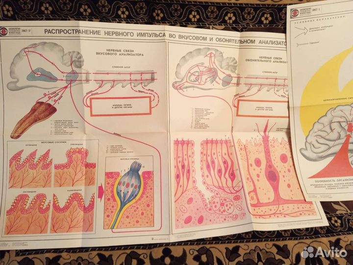 Советские настенные плакаты