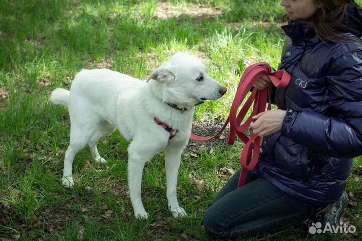 Прелестный малыш ищет дом