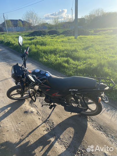 Alpha rs 12