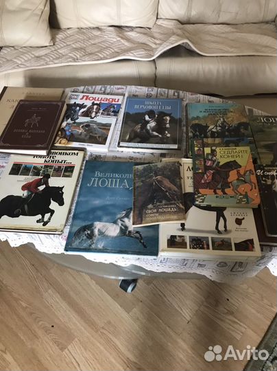 Про лошадей