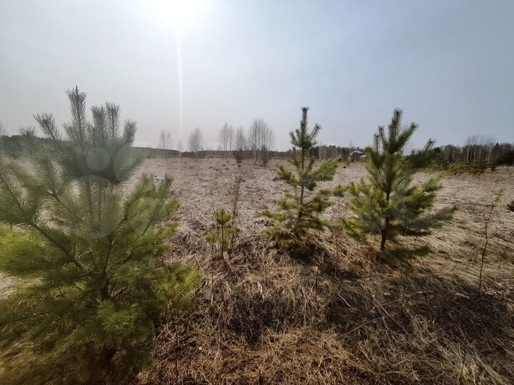 Участок 13 сот. (СНТ, ДНП)