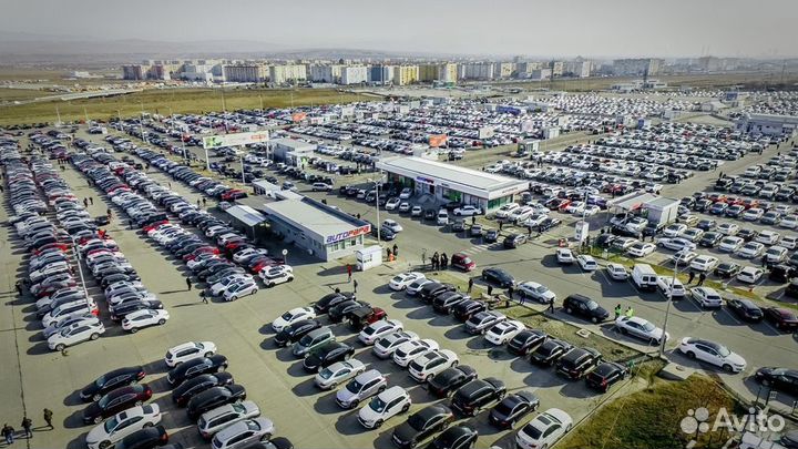 Поиск инвестиций в проверенный автобизнес