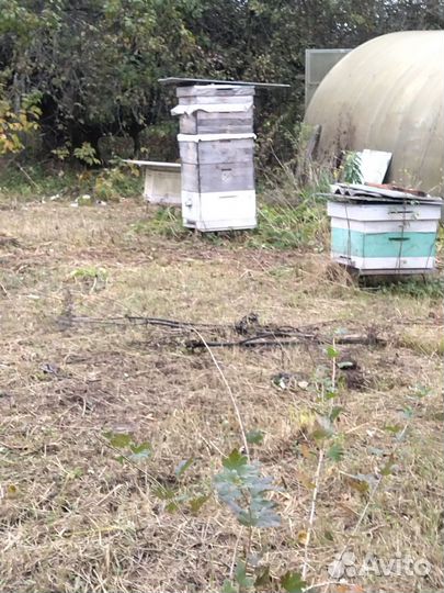 Улей для пчел