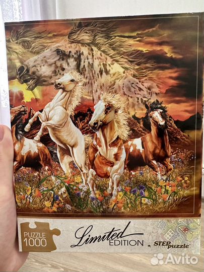 Пазлы 1000 деталей