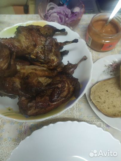 Мясо перепелов очень вкусное, лучшее