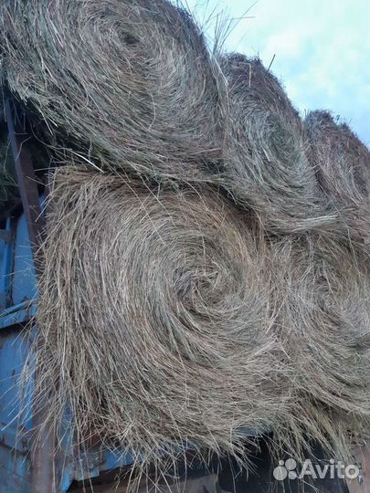 Сено в рулонах с доставкой