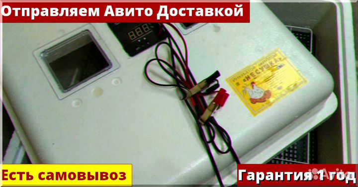 Инкубатор для яиц