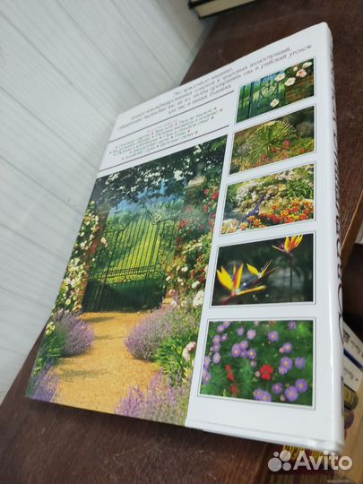 Современная Усадьба. Цветы Ландшафт Оформление