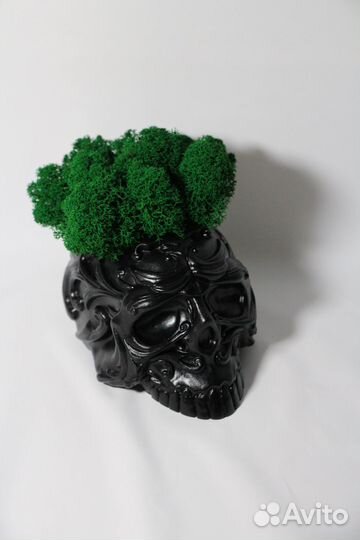 Череп из гипса/пепельница/кашпо