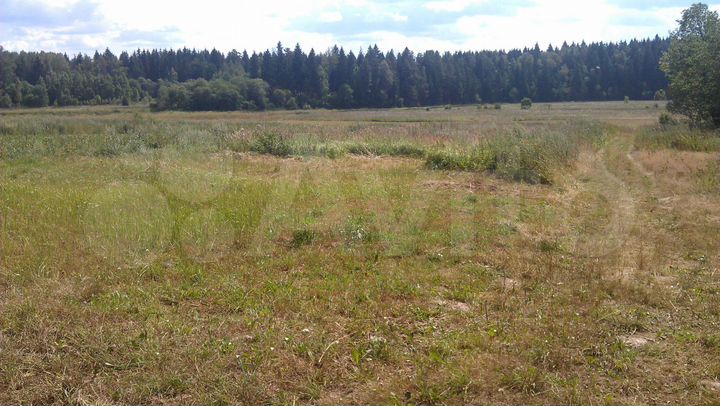 Участок 15 сот. (ИЖС)