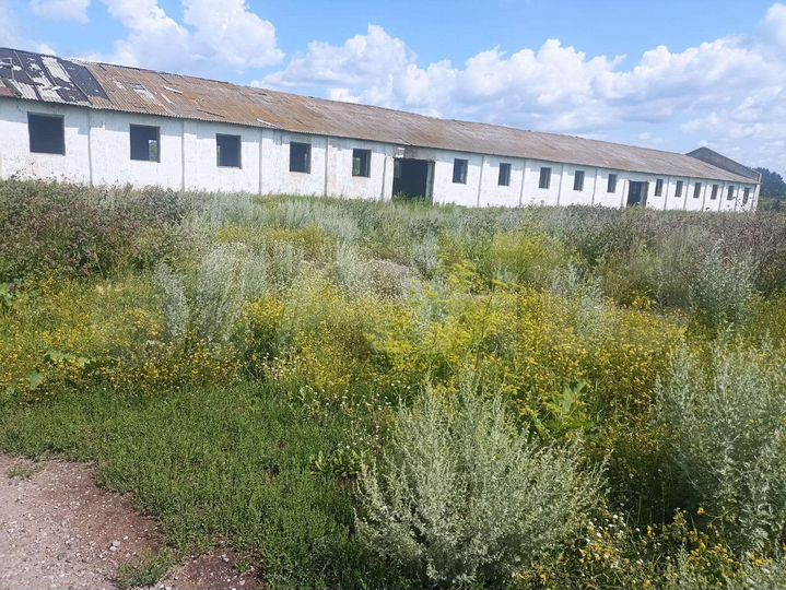 Участок 2 га (СНТ, ДНП)