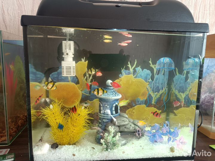 Аквариум 25л с рыбками