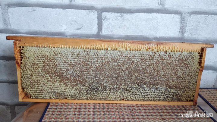 Мед в сотах