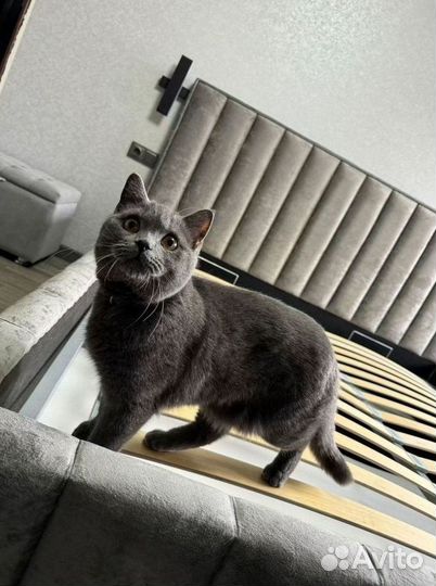 Кровать 200х200