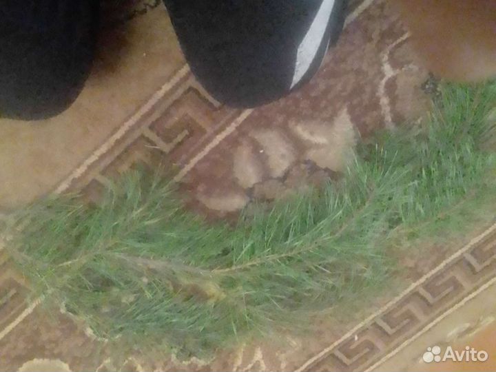 Ветка из ёлки