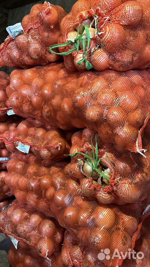 Лук
